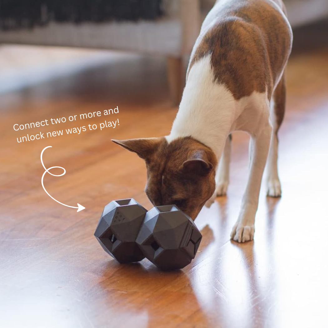 Odin Treat-Dispensing Toy for Dogs – An Interactive Puzzle Toy for Treat Time